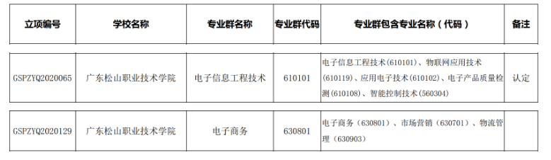 高水平专业群